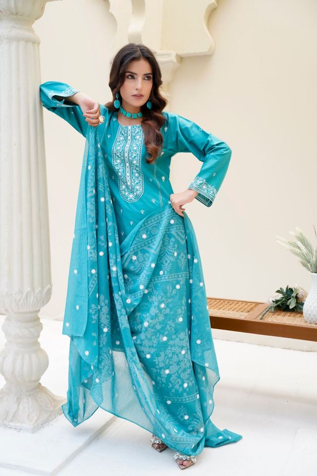 Aab-e-Hayat Embroidered Organza Suit