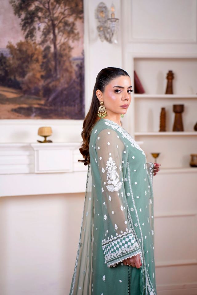 Mor Bagh Hand Painted Organza Suit