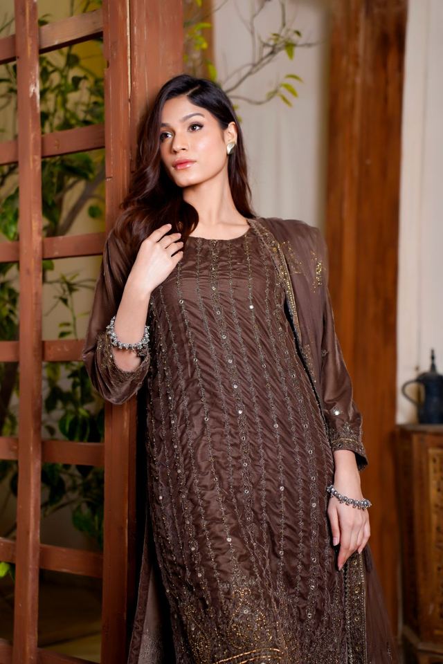 Sitara Sequinned Organza Kurta Set