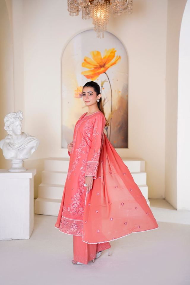 Titli 3D Embellished Chiffon Suit